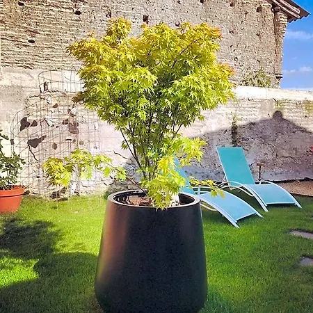 Chemin Des Ormeaux Bed & Breakfast